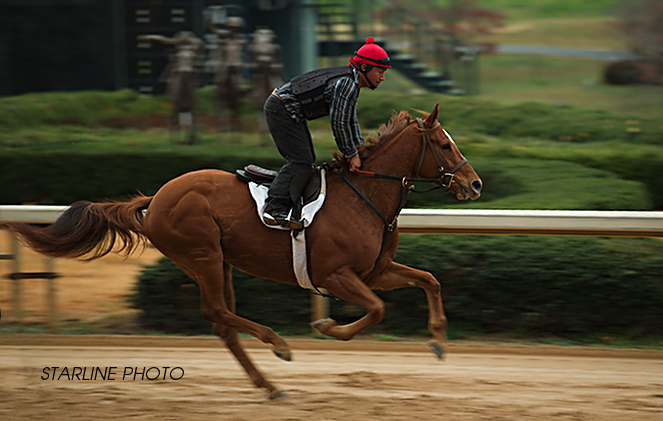 Panning